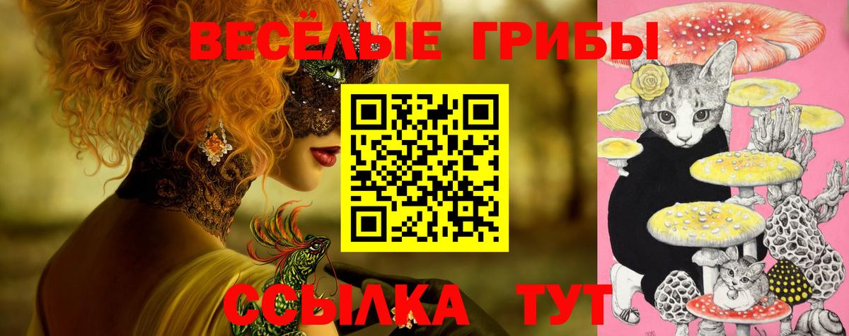 Псилоцибиновые грибы Cubensis  Галлюциногенные грибы мицелий  Вход с VPN  Кандалакша 